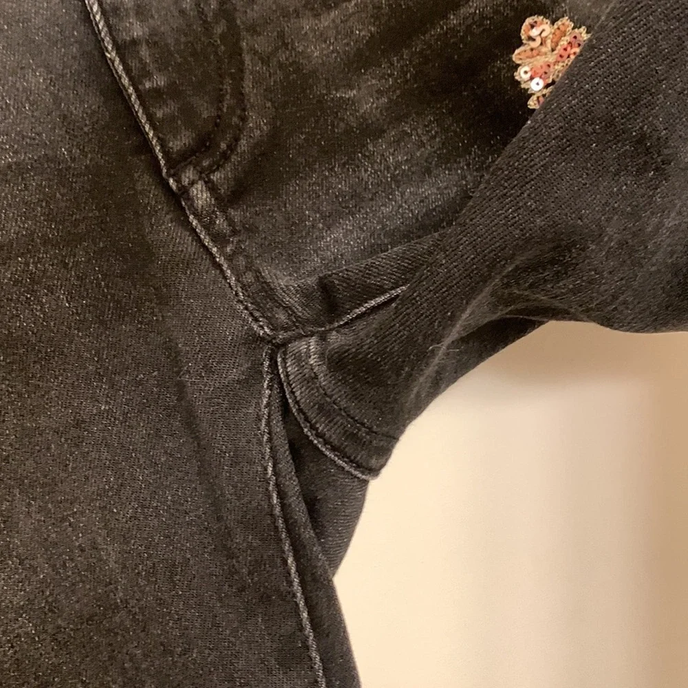 Anthropology Jeans Grey with embroidery and jewels Pilcro - Picture 12 of 15